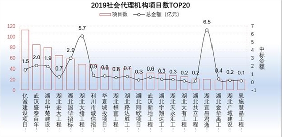 2019社會(huì)代理機(jī)構(gòu)項(xiàng)目數(shù)TOP20